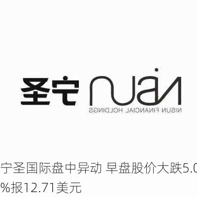 宁圣国际盘中异动 早盘股价大跌5.08%报12.71美元-第2张图片-