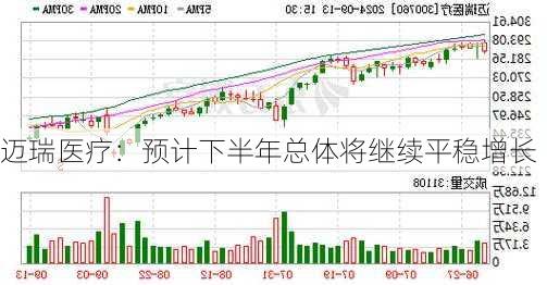 迈瑞医疗：预计下半年总体将继续平稳增长