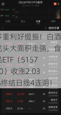 多重利好提振！白酒龙头大面积走强，食品ETF（515710）收涨2.03%终结日线4连阴！-第3张图片-