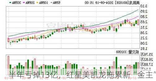 半年亏掉13亿，红星美凯龙拖累新“金主”-第3张图片-