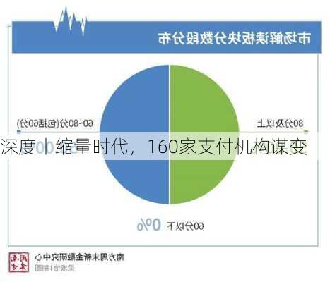 深度丨缩量时代，160家支付机构谋变-第1张图片-