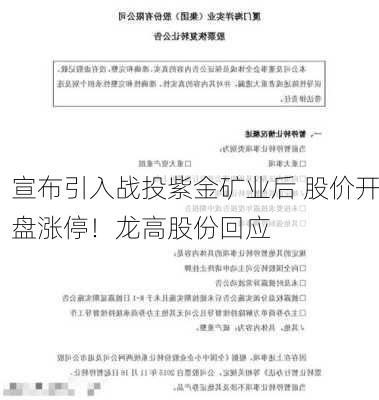 宣布引入战投紫金矿业后 股价开盘涨停！龙高股份回应-第3张图片-