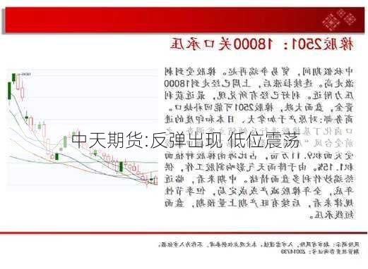 中天期货:反弹出现 低位震荡-第1张图片-