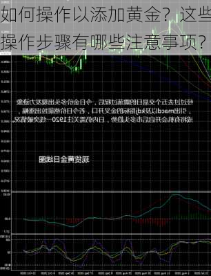 如何操作以添加黄金？这些操作步骤有哪些注意事项？-第3张图片-