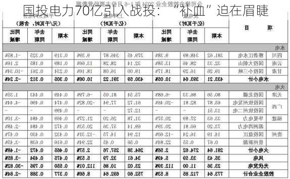 国投电力70亿引入战投：“补血”迫在眉睫-第1张图片-