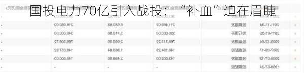 国投电力70亿引入战投：“补血”迫在眉睫-第2张图片-