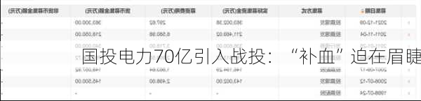 国投电力70亿引入战投：“补血”迫在眉睫-第3张图片-