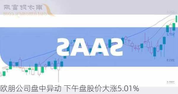 欧朋公司盘中异动 下午盘股价大涨5.01%-第1张图片-