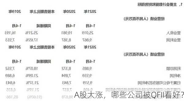 A股大涨，哪些公司被QFII看好？-第2张图片-