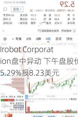 Irobot Corporation盘中异动 下午盘股价大跌5.29%报8.23美元-第2张图片-