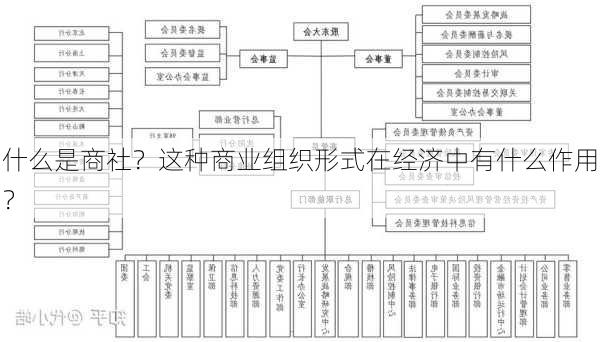 什么是商社？这种商业组织形式在经济中有什么作用？-第3张图片-