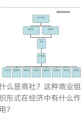 什么是商社？这种商业组织形式在经济中有什么作用？-第2张图片-