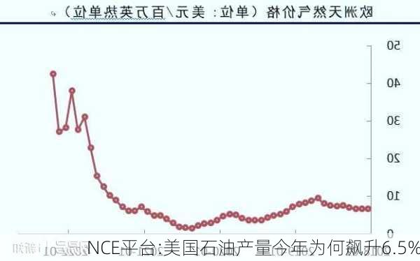 NCE平台:美国石油产量今年为何飙升6.5%-第1张图片-