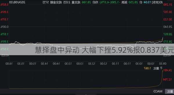 慧择盘中异动 大幅下挫5.92%报0.837美元-第2张图片-