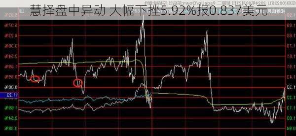 慧择盘中异动 大幅下挫5.92%报0.837美元-第1张图片-