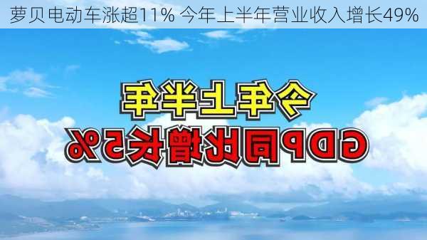 萝贝电动车涨超11% 今年上半年营业收入增长49%-第1张图片-