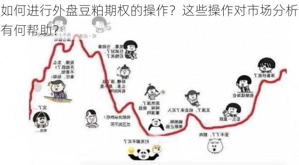 如何进行外盘豆粕期权的操作？这些操作对市场分析有何帮助？