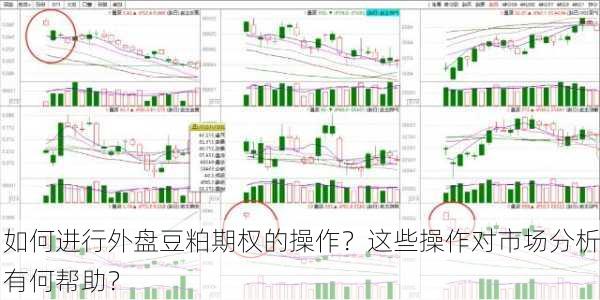 如何进行外盘豆粕期权的操作？这些操作对市场分析有何帮助？-第3张图片-