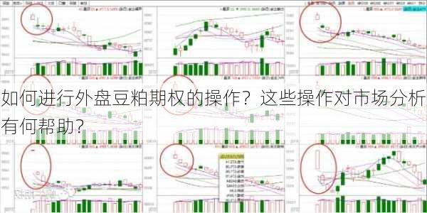 如何进行外盘豆粕期权的操作？这些操作对市场分析有何帮助？-第2张图片-