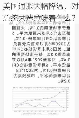 美国通胀大幅降温，对总统大选意味着什么？-第1张图片-