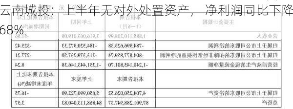 云南城投：上半年无对外处置资产， 净利润同比下降68%-第2张图片-