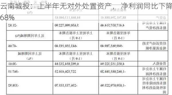 云南城投：上半年无对外处置资产， 净利润同比下降68%-第3张图片-