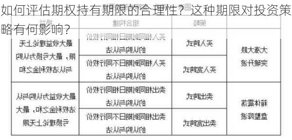 如何评估期权持有期限的合理性？这种期限对投资策略有何影响？-第1张图片-