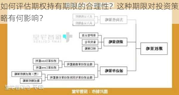 如何评估期权持有期限的合理性？这种期限对投资策略有何影响？-第3张图片-