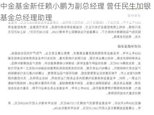 中金基金新任赖小鹏为副总经理 曾任民生加银基金总经理助理-第3张图片-