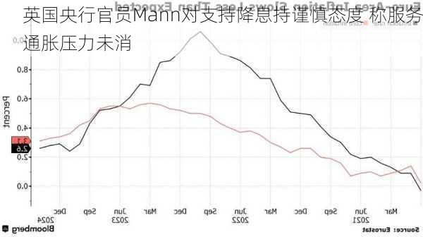 英国央行官员Mann对支持降息持谨慎态度 称服务通胀压力未消-第3张图片-