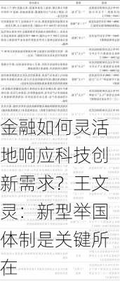 金融如何灵活地响应科技创新需求？王文灵：新型举国体制是关键所在