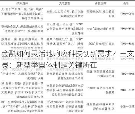 金融如何灵活地响应科技创新需求？王文灵：新型举国体制是关键所在-第3张图片-