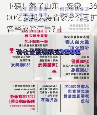 重磅！落子山东、安徽，3600亿友邦人寿省级分公司扩容释放啥信号？！-第3张图片-