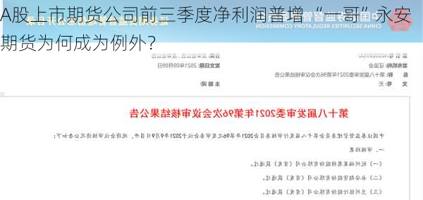 A股上市期货公司前三季度净利润普增 “一哥”永安期货为何成为例外？-第3张图片-