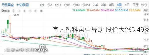 宜人智科盘中异动 股价大涨5.49%-第2张图片-