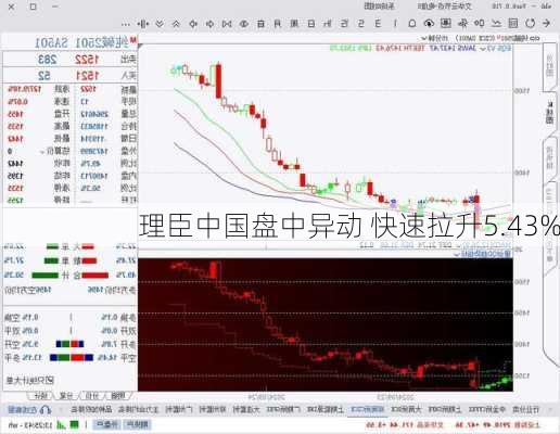 理臣中国盘中异动 快速拉升5.43%-第1张图片-