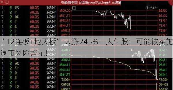 “12连板+地天板” 大涨245%！大牛股：可能被实施退市风险警示！-第2张图片-