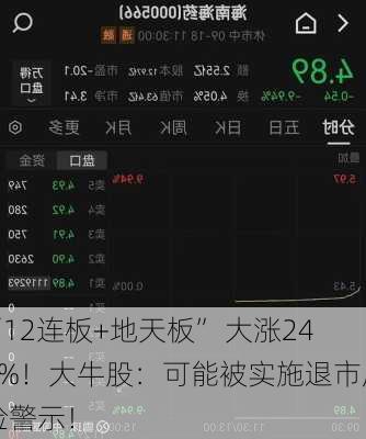 “12连板+地天板” 大涨245%！大牛股：可能被实施退市风险警示！-第3张图片-