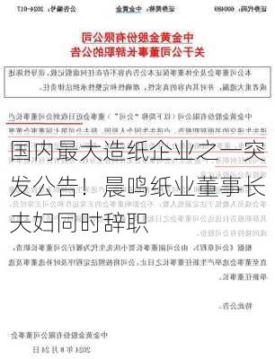 国内最大造纸企业之一突发公告！晨鸣纸业董事长夫妇同时辞职-第1张图片-