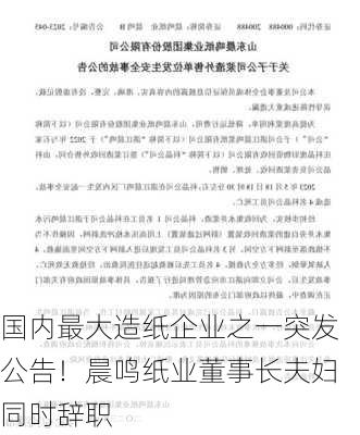 国内最大造纸企业之一突发公告！晨鸣纸业董事长夫妇同时辞职-第2张图片-