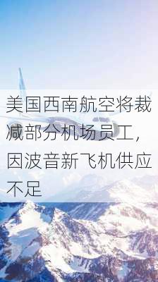 美国西南航空将裁减部分机场员工，因波音新飞机供应不足