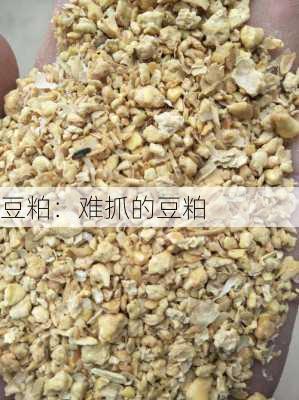 豆粕：难抓的豆粕-第3张图片-