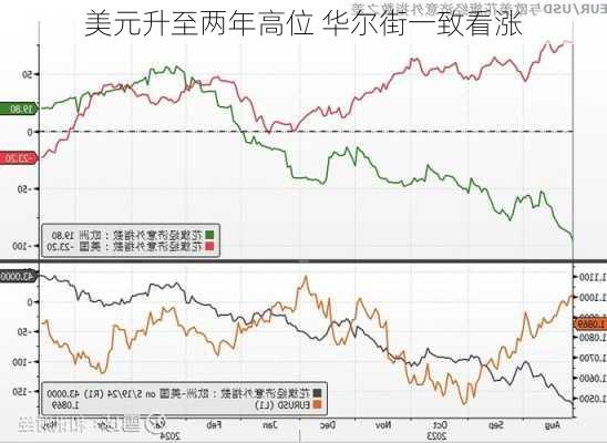 美元升至两年高位 华尔街一致看涨-第1张图片-