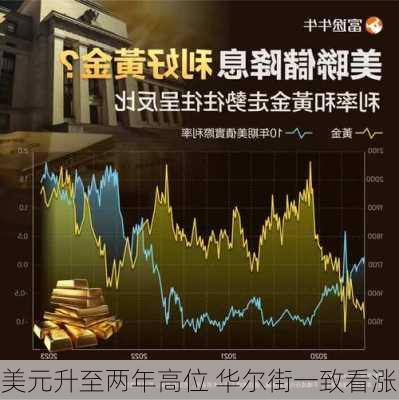 美元升至两年高位 华尔街一致看涨-第2张图片-