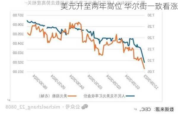 美元升至两年高位 华尔街一致看涨-第3张图片-