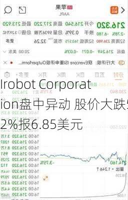 Irobot Corporation盘中异动 股价大跌5.12%报6.85美元-第2张图片-