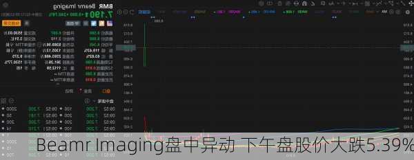 Beamr Imaging盘中异动 下午盘股价大跌5.39%-第1张图片-