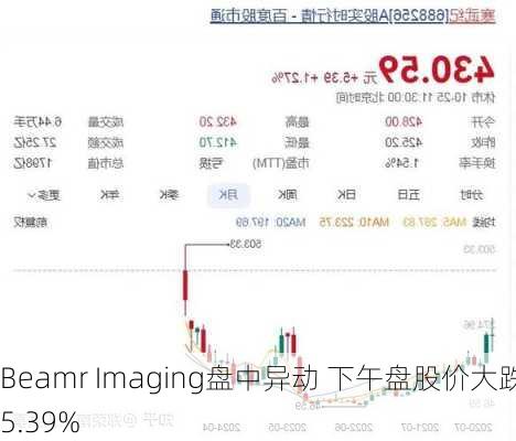 Beamr Imaging盘中异动 下午盘股价大跌5.39%-第2张图片-