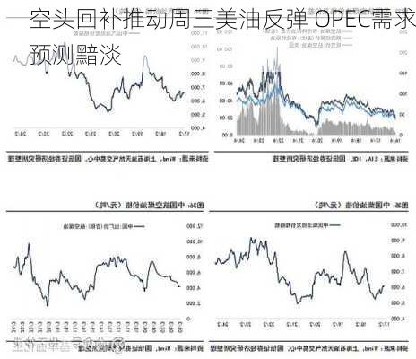 空头回补推动周三美油反弹 OPEC需求预测黯淡-第1张图片-