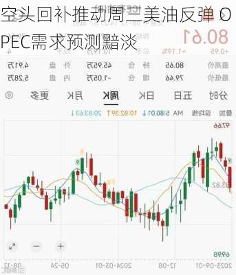 空头回补推动周三美油反弹 OPEC需求预测黯淡-第3张图片-